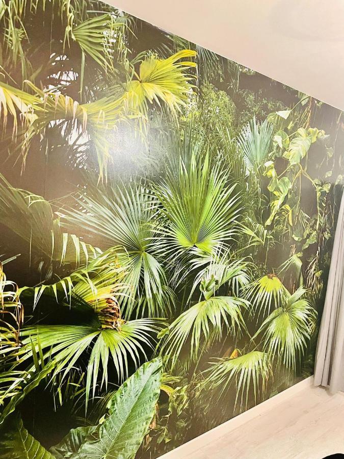 La Saveur Tropicale-Proche Centre Ville-Aeroport Бове Екстер'єр фото